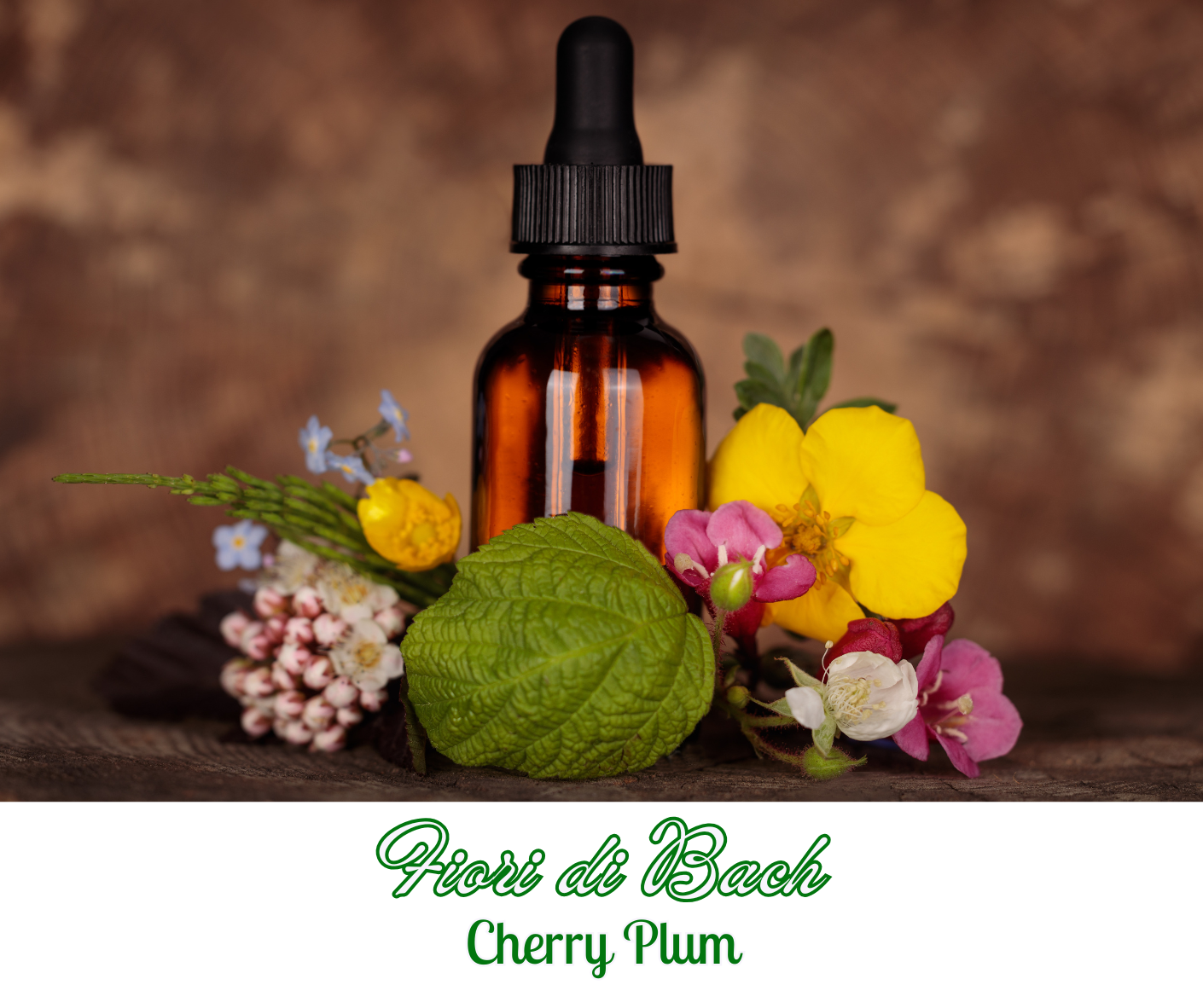 FLOWER BACH ESSENCES CHERRY PLUM 15ML